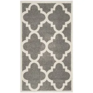 Amherst 3' x 5' Indoor/Outdoor Woven Area Rug - Dark Gray/Beige