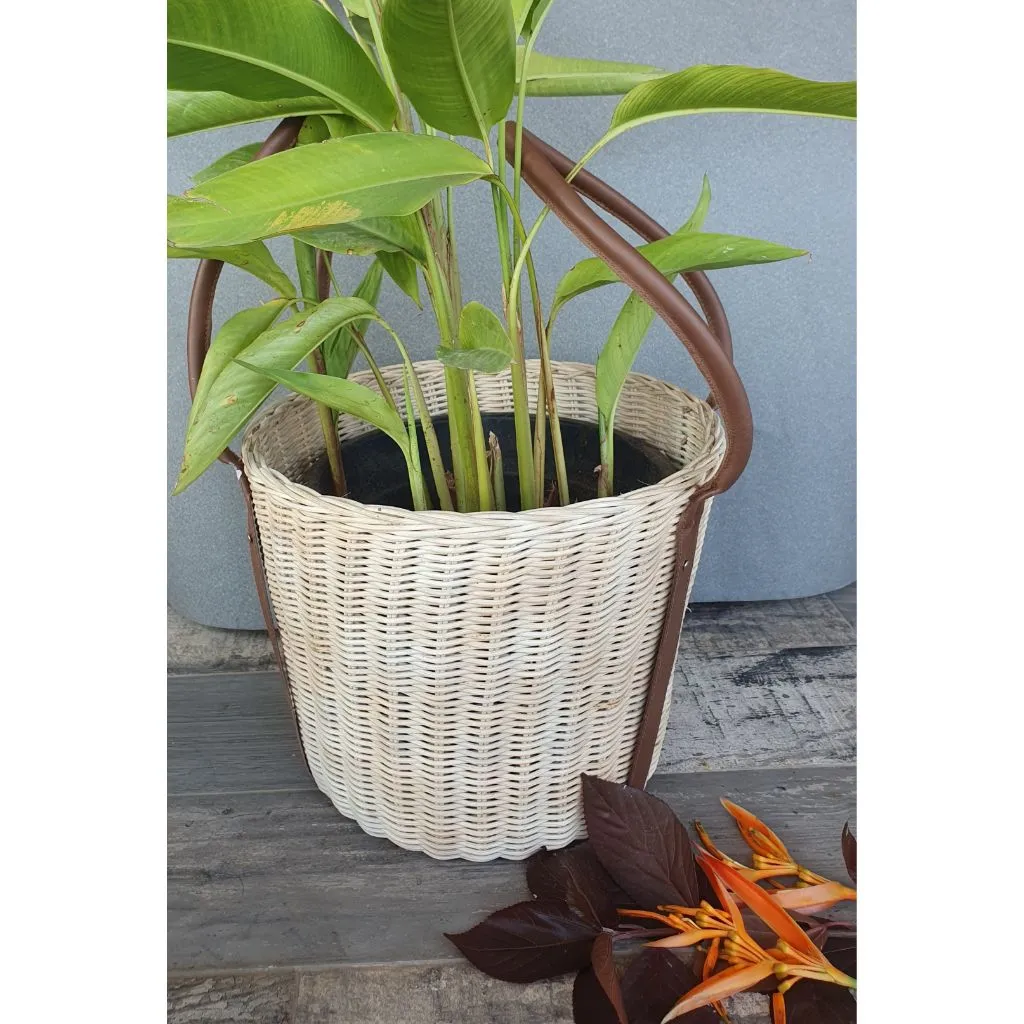 Cinnamon Cane Basket