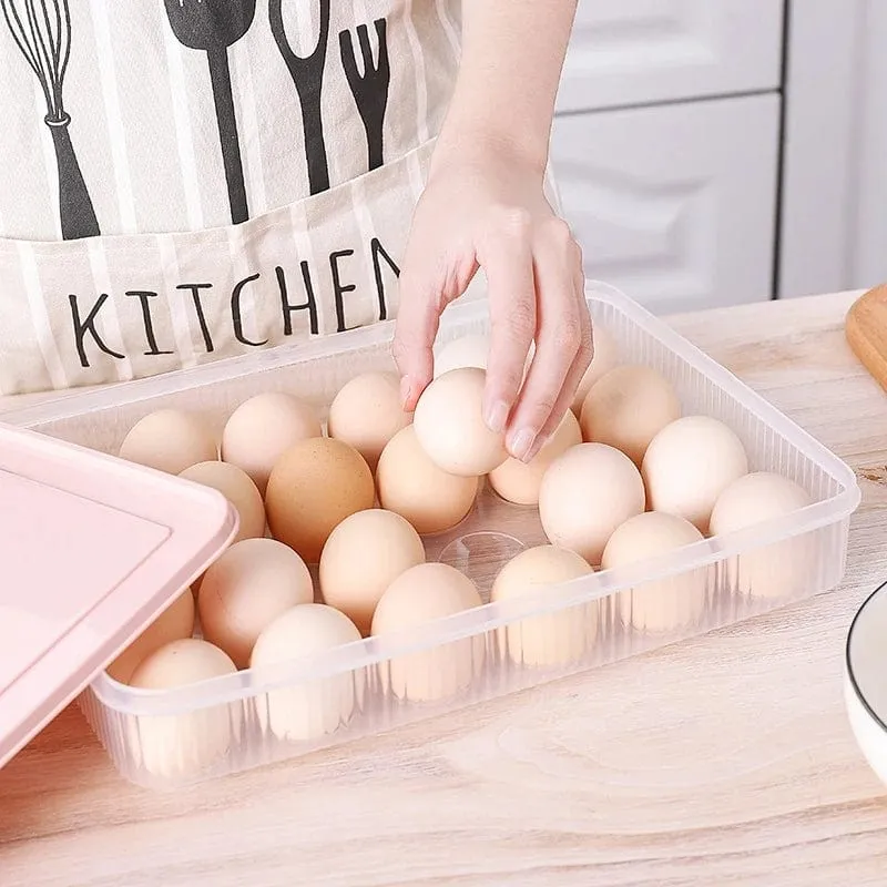 Egg Storage Box With Lid