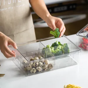 Food Storage Refrigerator Drawer