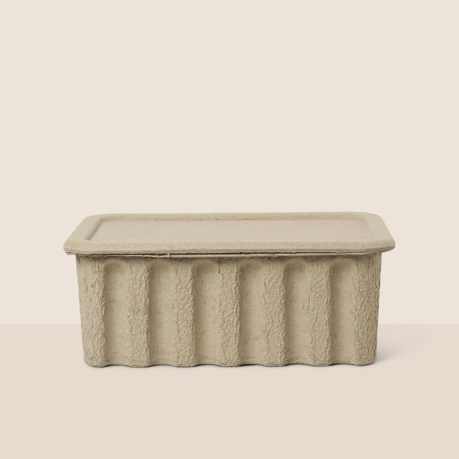 Paper Pulp Box Large - Set of 2