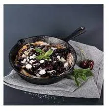 Pyrocast Skillet 19.5cm