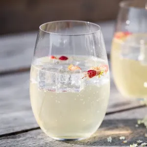 Sakurna Stemless Wine & Champagne Glasses | Set of 4 |