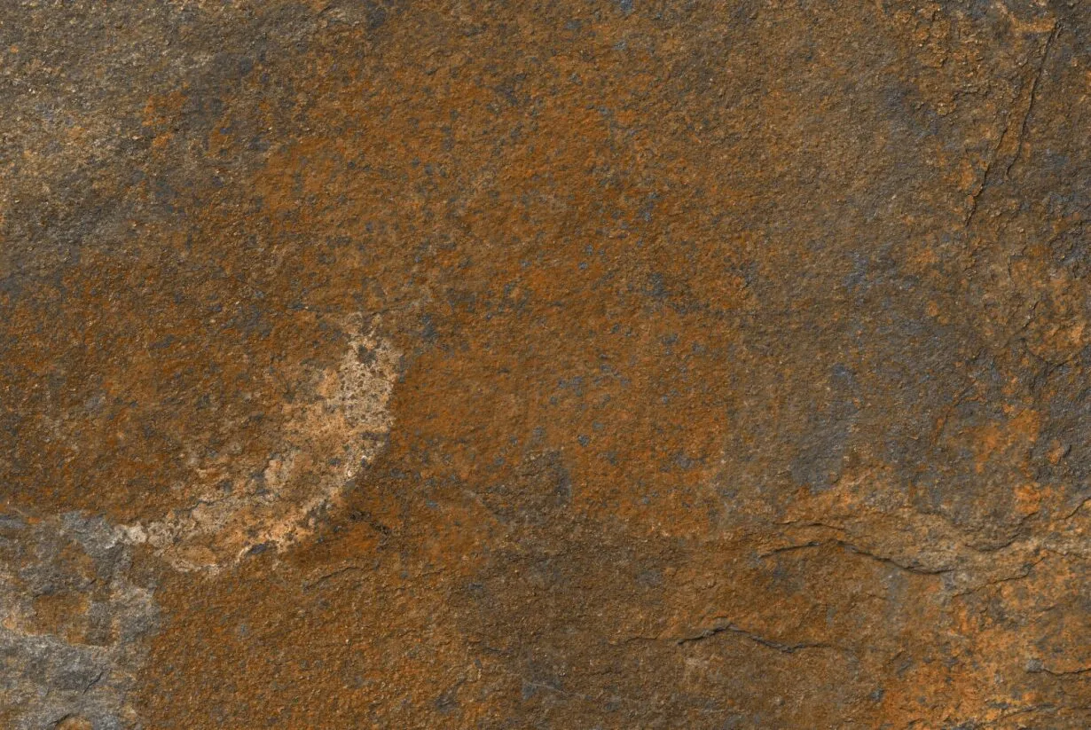 W&S Terrestrial Copper Porcelain